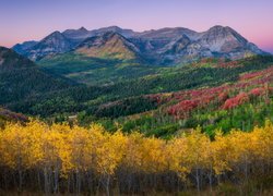 Góry, Wasatch Range, Góra, Mount Timpanogos, Lasy, Drzewa, Jesień, Stan Utah, Stany Zjednoczone