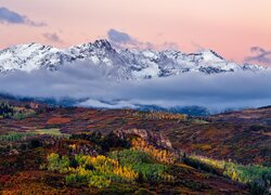 Jesień, Stany Zjednoczone, Kolorado, Szczyt, Mount Sneffels, Góry Skaliste, Lasy, Pożółkłe, Drzewa, Mgła, Chmury