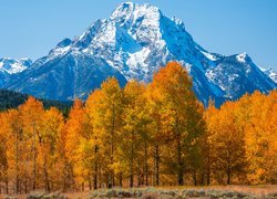 Jesień, Park Narodowy Grand Teton, Góry, Teton Range, Drzewa, Stan Wyoming, Stany Zjednoczone