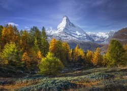 Góry, Alpy, Szczyt Matterhorn, Drzewa, Las, Jesień, Szwajcaria