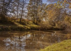 Jesienne drzewa na wysokim brzegu rzeki