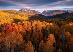 Góry, Jesień, Las, Drzewa, Kolorado, Stany Zjednoczone