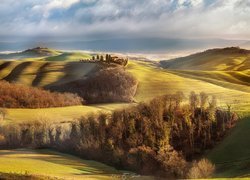 Włochy, Toskania, Asciano, Crete Senesi, Wzgórza, Drzewa, Jesień