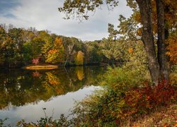 Jesień, Drzewa, Liście, Krzewy, Jezioro, Lanier Lake, Martinsville, Stan Wirginia, Stany Zjednoczone