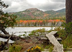 Porośnięte, Góry, Jezioro, Upper Hadlock Lake, Drzewa, Kładka, Park Narodowy Acadia, Stan Maine, Stany Zjednoczone