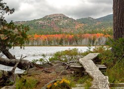 Jesienne drzewa nad jeziorem Upper Hadlock Lake