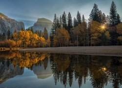 Jesienne drzewa nad rzeką Merced w górach Sierra Nevada