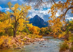 Jesień, Park Narodowy Zion, Rzeka, Virgin River, Góry Watchman, Kamienie, Drzewa, Stan Utah, Stany Zjednoczone