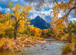 Jesienne drzewa nad rzeką Virgin River i góra Watchman