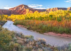 Stany Zjednoczone, Stan Utah, Park Narodowy Zion, Góry Watchman, Rzeka, Virgin River, Kamienie, Drzewa, Krzewy, Jesień