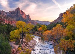 Stany Zjednoczone, Stan Utah, Park Narodowy Zion, Góry Watchman, Rzeka, Virgin River, Kamienie, Drzewa, Wschód słońca