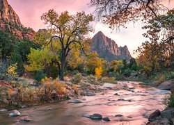 Park Narodowy Zion, Drzewa, Góry Watchman, Rzeka, Virgin River, Kamienie, Stan Utah, Stany Zjednoczone