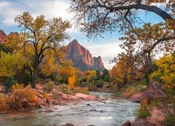 Park Narodowy Zion, Góry Watchman, Drzewa, Rzeka Virgin River, Kamienie, Stan Utah, Stany Zjednoczone