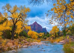 Park Narodowy Zion, Góry Watchman, Drzewa, Jesień, Rzeka, Virgin River, Kamienie, Stan Utah, Stany Zjednoczone