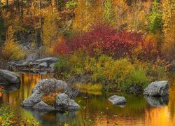 Jesień, Las, Rzeka, Krzewy, Kamienie