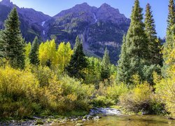 Jesienne drzewa nad rzeką z górą Maroon Bells w tle