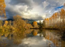 Jesienne drzewa nad stawem w dolinie Snoqualmie Valley