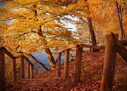 Drzewa, Liściaste, Jesień, Liście, Ogrodzenie, Balustrada, Jezioro