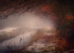 Jesienne drzewa nad zamgloną rzeczką