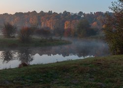 Rzeka, Drzewa, Jesień, Mgła