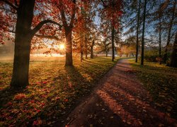 Jesień, Drzewa, Ścieżka, Liście, Promienie słońca, Park, Carskie Sioło, Petersburg, Rosja