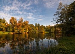 Jesienne drzewa otaczające staw