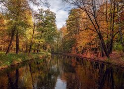 Jesień, Rzeka, Kolorowe, Drzewa, Park