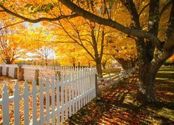 Jesień, Drzewa, Ogrodzenie, Shaker Village, Canterbury, New Hampshire, Stany Zjednoczone