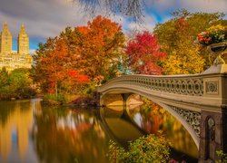 Jesienne drzewa przy moście w Central Park w Nowym Jorku