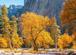 Jesień, Park Narodowy Yosemite, Góry, Drzewa, Stan Kalifornia, Stany Zjednoczone