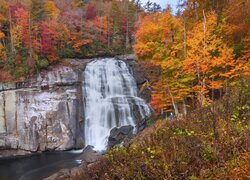 Jesienne drzewa przy wodospadzie Rainbow Falls