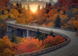 Jesień, Most, Zakręt, Droga, Las, Kolorowe, Drzewa, Wschód słońca