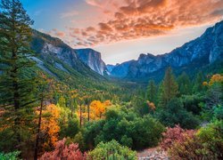 Jesienne drzewa w dolinie Yosemite Valley