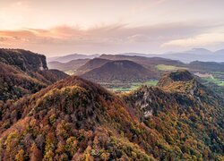 Jesienne drzewa w górach Serra de Cabrera w Hiszpanii