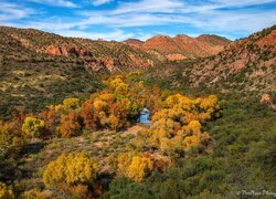 Jesień, Drzewa, Góry, Rzeka, Kanion Sycamore, Arizona, Stany Zjednoczone