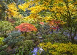 Jesienne drzewa w ogrodzie japońskim