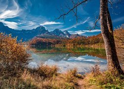 Austria, Góry, Alpy, Jezioro Almsee, Jesień, Drzewa, Trawa