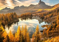 Jesienne drzewa wokół jeziora Federa we włoskich Dolomitach