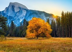 Jesień, Park Narodowy Yosemite, Góry, Drzewa, Las, Promienie słońca, Stan Kalifornia, Stany Zjednoczone