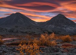 Jesienne krzewy na tle gór w norweskim Parku Narodowym Rondane