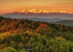 Las, Góry, Tatry, Wschód słońca, Polska