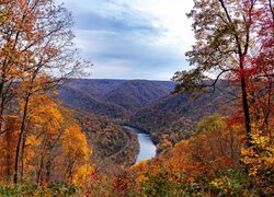 Jesienne lasy nad rzeką New River Gorge Bridge w Wirginii Zachodniej