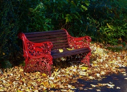 Jesienne liście przy parkowej ławce