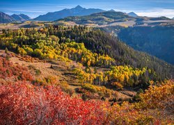 Stany Zjednoczone, Kolorado, Telluride, Jesień, Góry, San Juan Mountains, Kolorowe, Drzewa