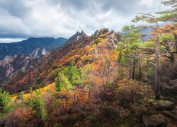 Jesienny krajobraz gór
