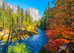 Stany Zjednoczone, Jesień, Kalifornia, Park Narodowy Yosemite, Rzeka, Merced River, Góry, Drzewa