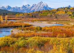 Park Narodowy Grand Teton, Góry, Teton Range, Las, Drzewa, Krzewy, Jesień, Rzeka Snake River, Stan Wyoming, Stany Zjednoczone