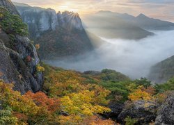 Korea Południowa, Park Narodowy Juwangsan, Góry, Jesień, Drzewa, Roślinność, Mgła, Promienie słońca