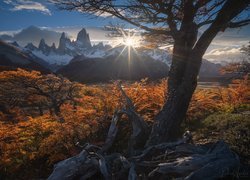 Argentyna, Patagonia, Góry, Promienie słońca, Drzewa, Jesień, Góry, Szczyt, Fitz Roy, Park Narodowy Los Glaciares