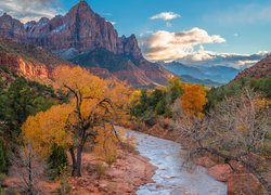 Stany Zjednoczone, Stan Utah, Park Narodowy Zion, Góry Watchman, Rzeka, Virgin River, Kamienie, Drzewa, Jesień